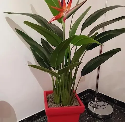 La Casa Di Azzurra Cod.citra 011015-lt-0171 *